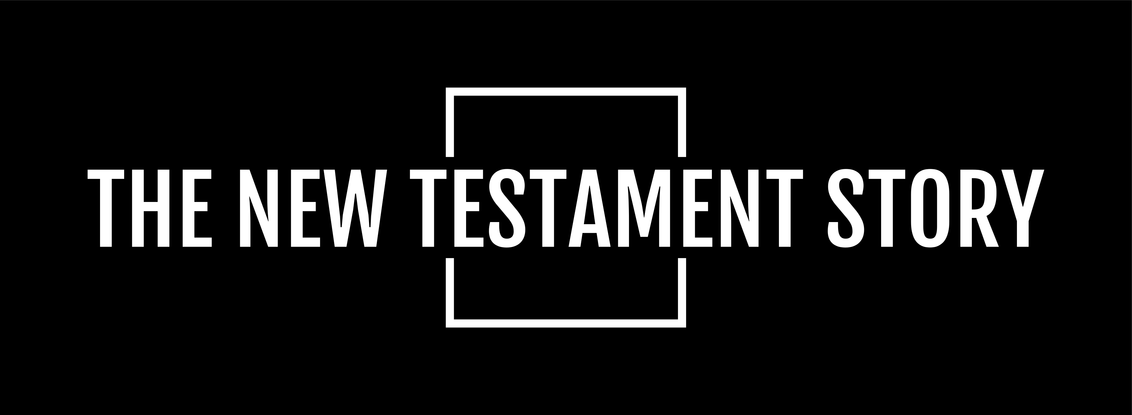 The New Testament Story